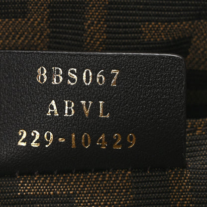 Fendi Vitello King Plexiglass Logo Embossed Mini By The Way Top Handle Boston Bag Tortora 7 of 9