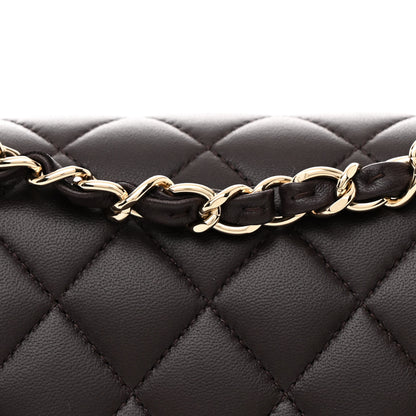 Chanel Lambskin Quilted Small Double Flap Dark Brown 8 of 10