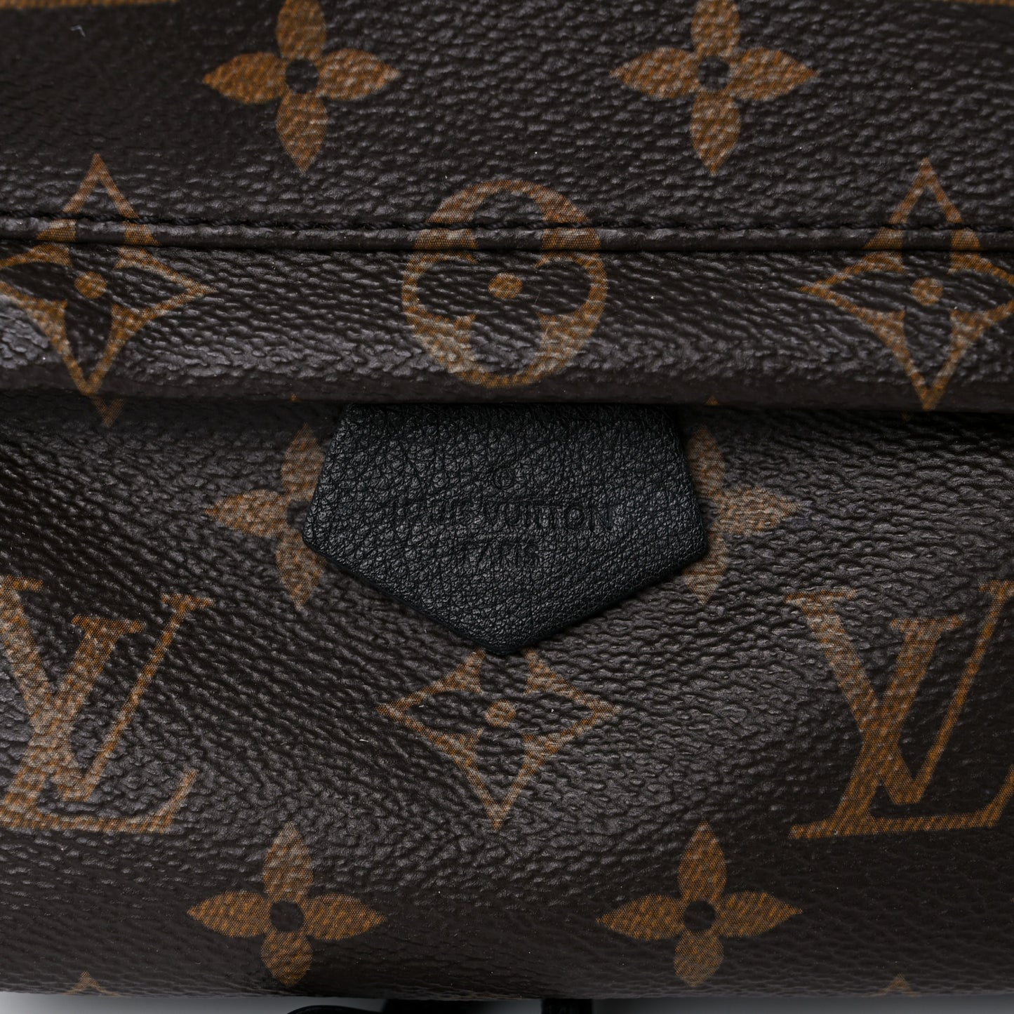 Monogram Palm Springs Backpack Mini