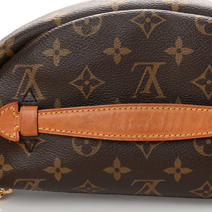 Louis Vuitton Monogram Bumbag 10 of 13
