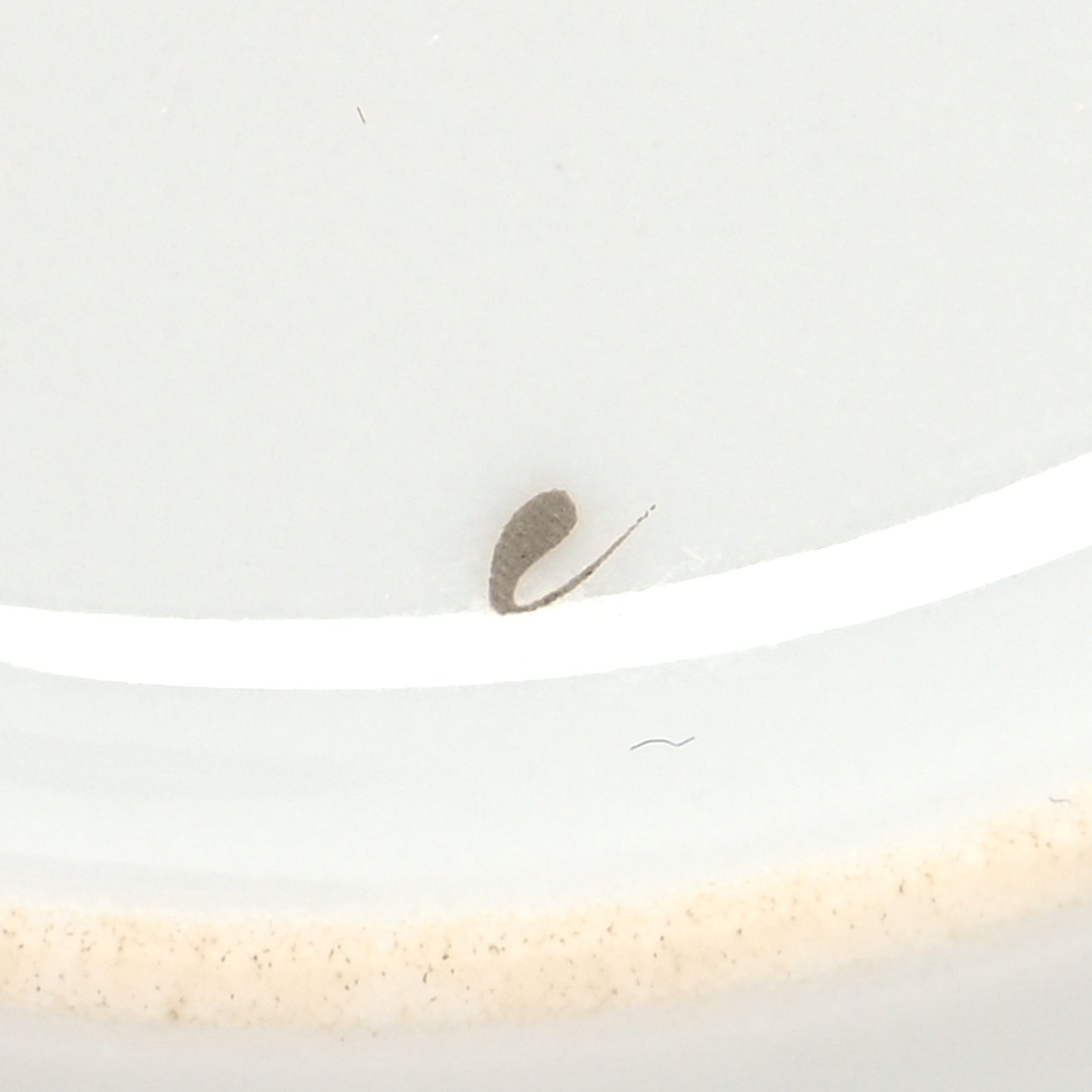 Porcelain Platinum Chaine d'Ancre Tea Cup and Saucer Set of 2