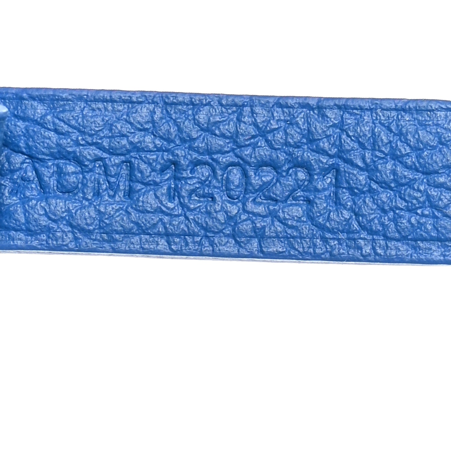Goyard Goyardine Saint Louis PM Sky Blue 8 of 11