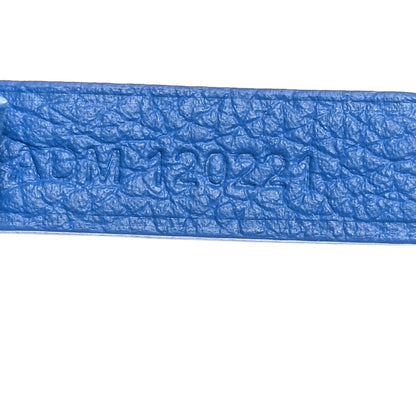 Goyard Goyardine Saint Louis PM Sky Blue 8 of 11