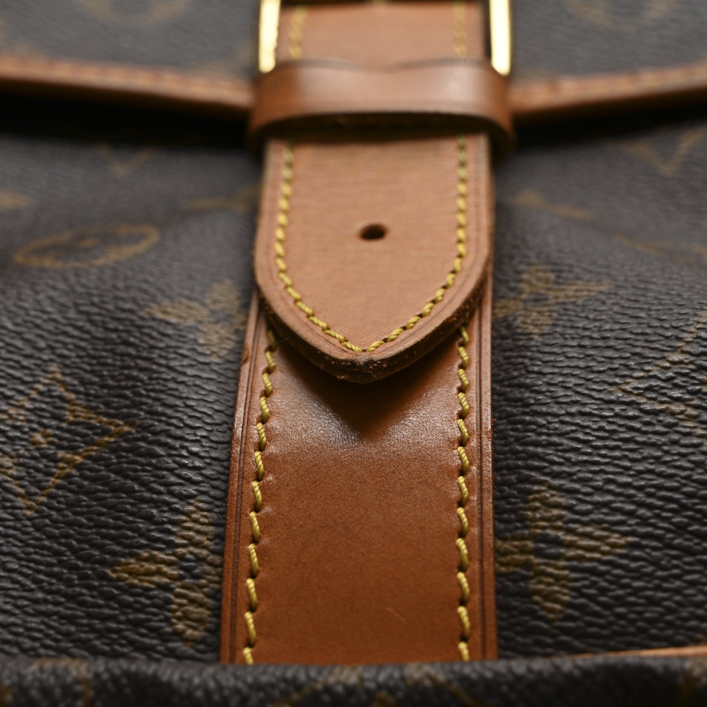 Monogram Sac Chasse Hunting Bag