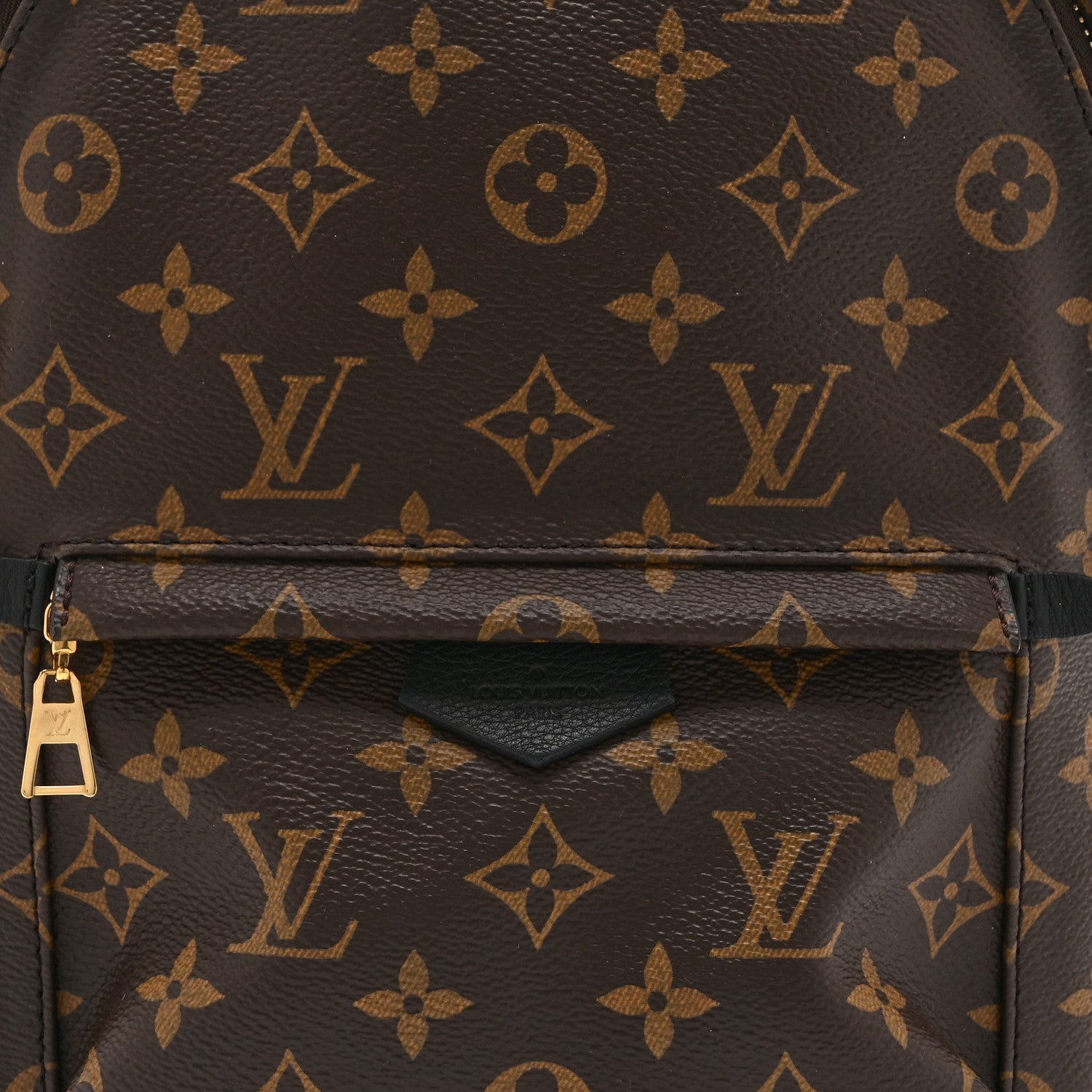 Louis Vuitton Monogram Palm Springs Backpack PM 8 of 10