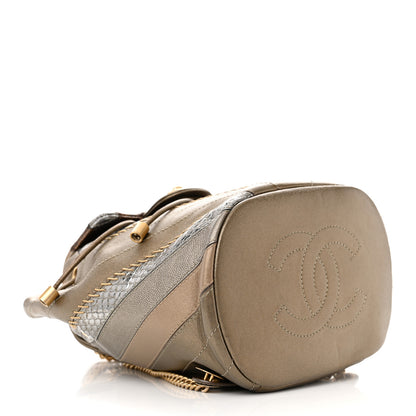 Chanel Metallic Calfskin Snakeskin Chevron Quilted Backpack Multicolor 4 of 10