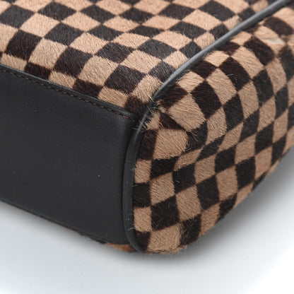 Louis Vuitton Damier Calf Hair Sauvage Lionne 9 of 9