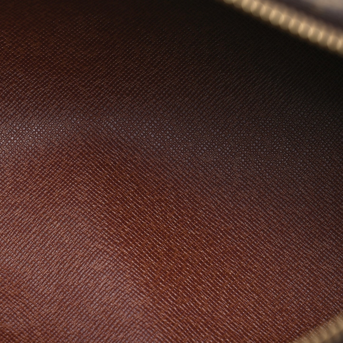 Monogram Papillon 30 with Companion