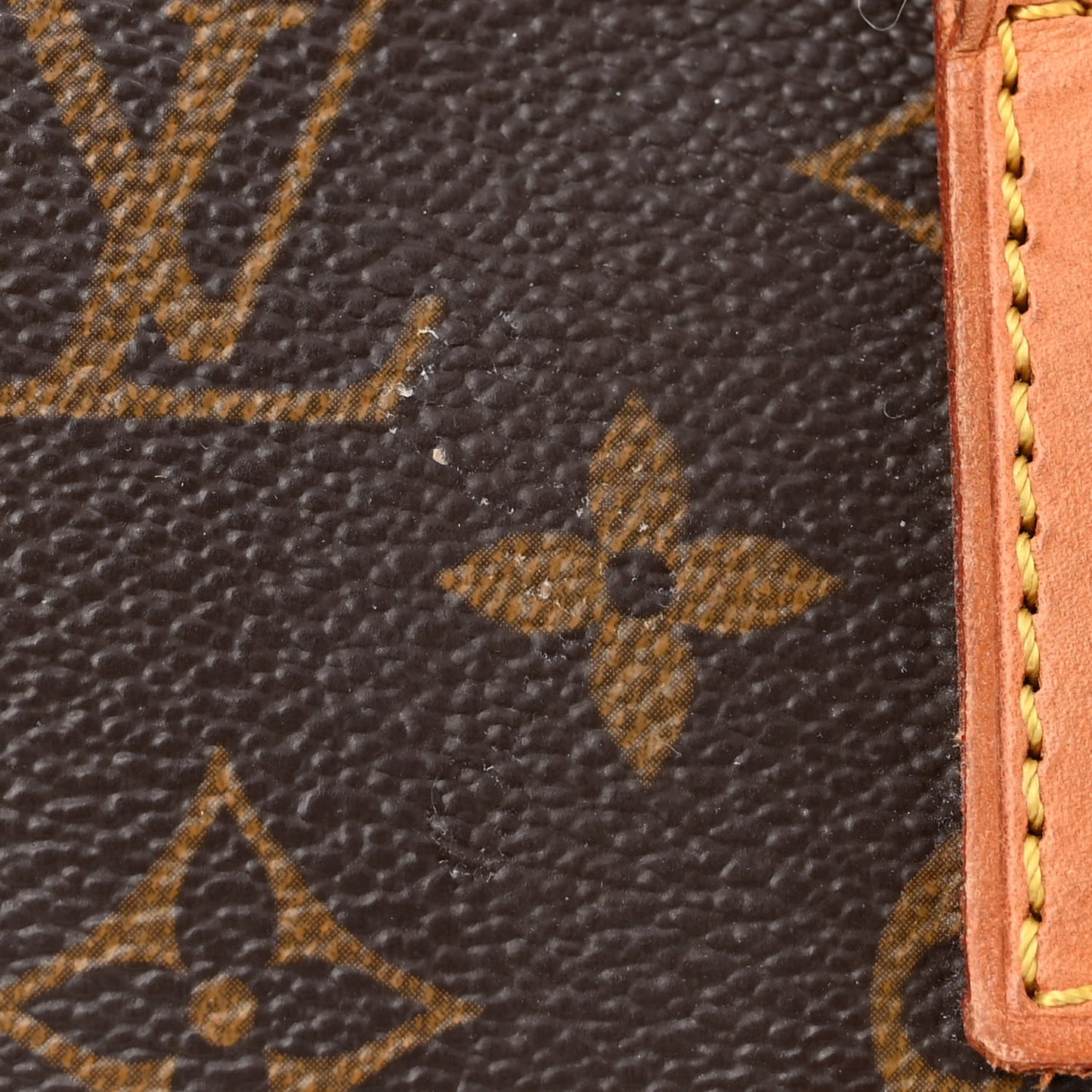 Monogram Cabas Mezzo