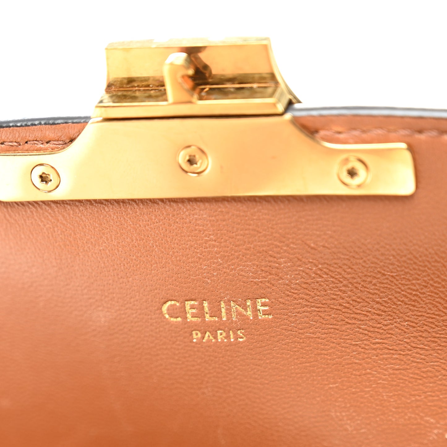 Calfskin Triomphe Canvas Teen Triomphe Bag Tan