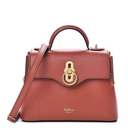Mulberry Silky Calfskin Micro Seaton Rust 1 of 13
