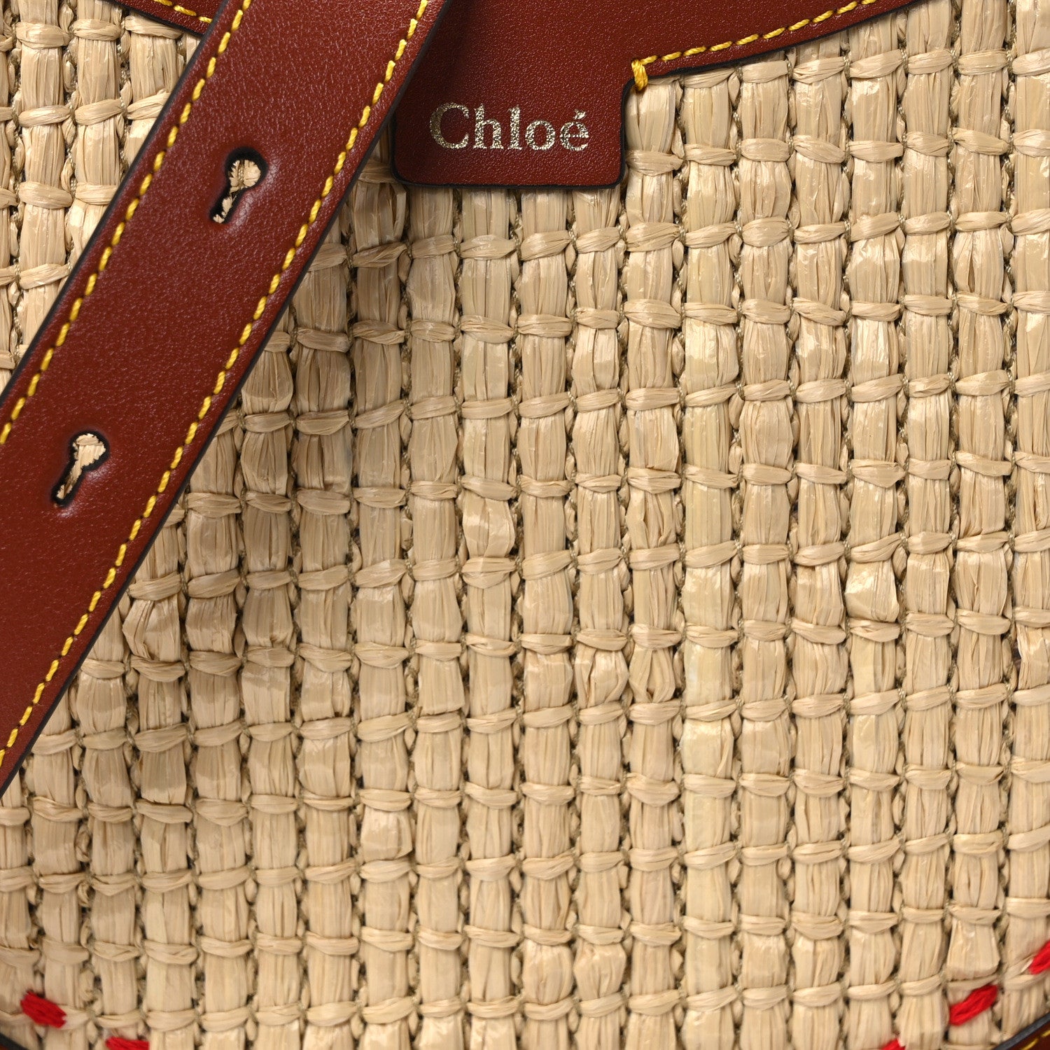 Chloe Calfskin Raffia Embroidered Small Darryl Hobo Sepia Brown 7 of 10