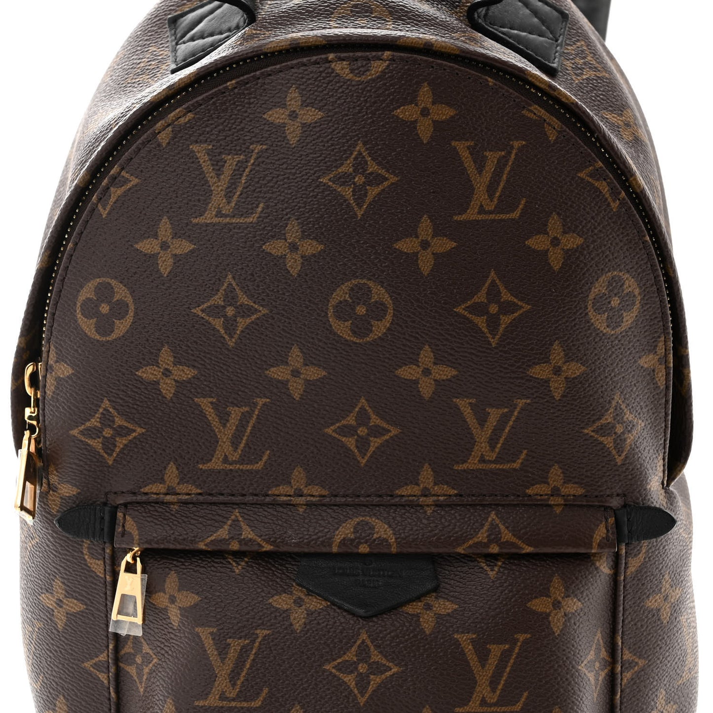 Monogram Palm Springs Backpack PM