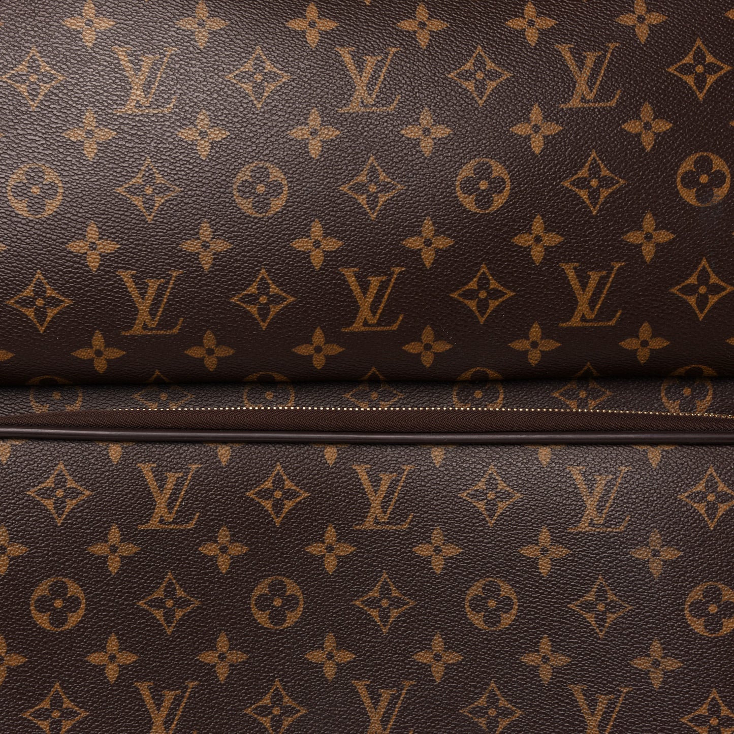 Monogram Pegase 55 Business