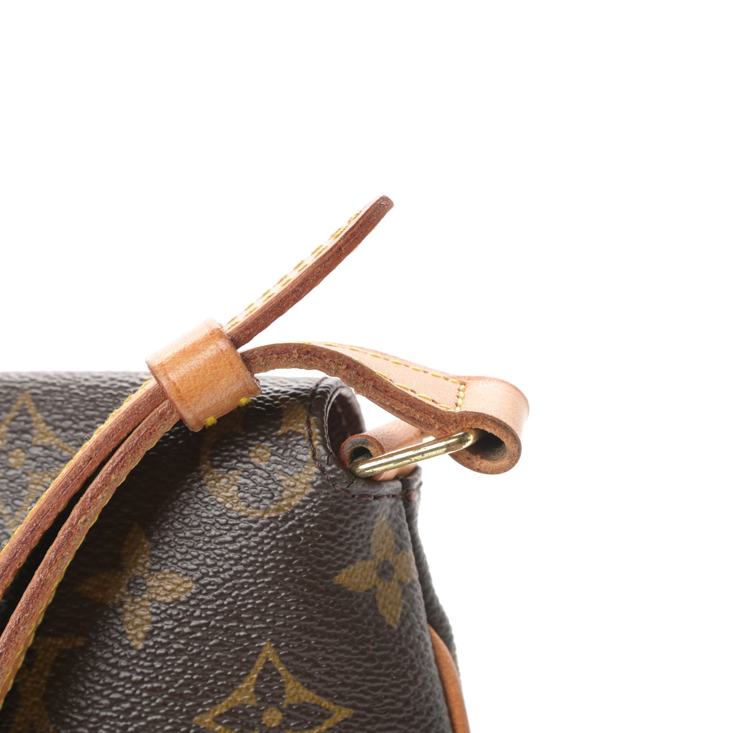 Monogram Musette Salsa