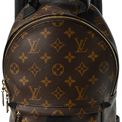 Louis Vuitton Monogram Palm Springs Backpack PM 6 of 8