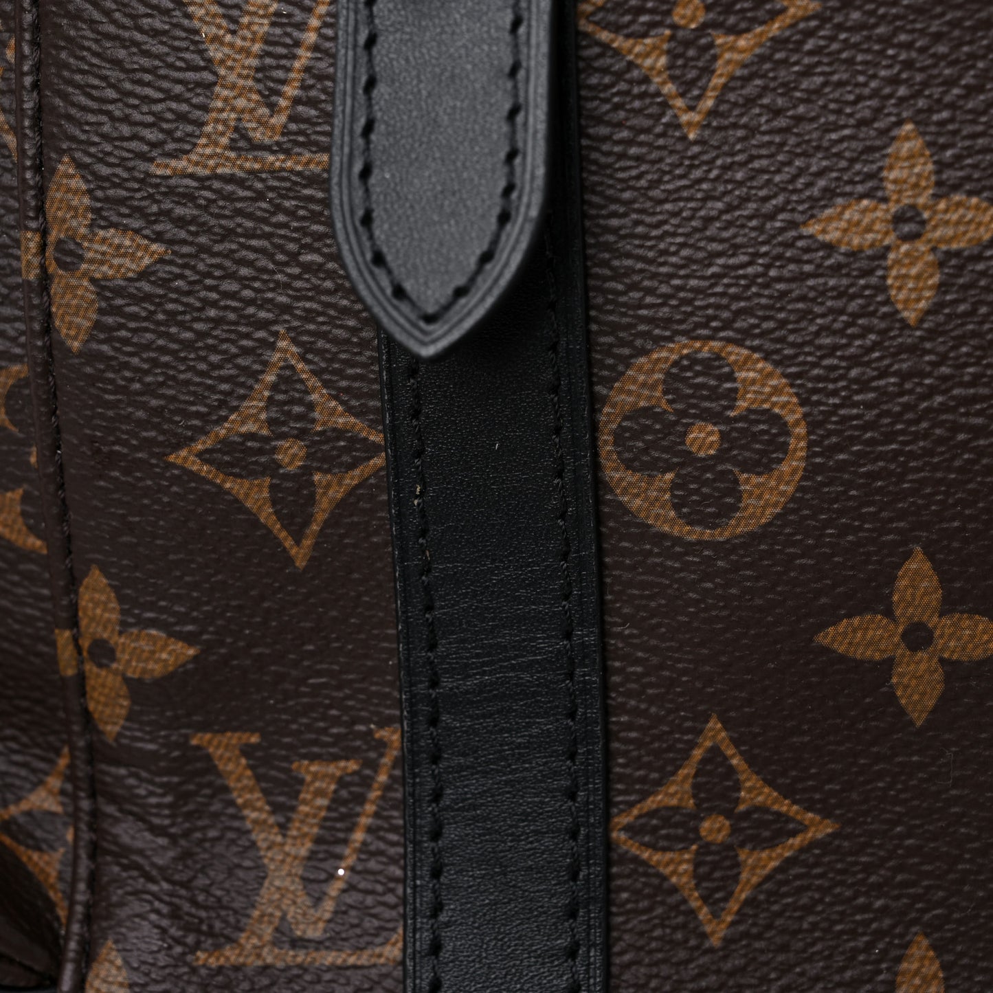 Monogram Macassar Christopher PM Backpack