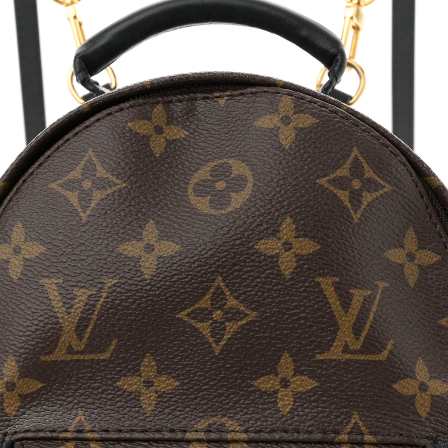 Monogram Palm Springs Backpack Mini