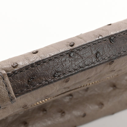 Loro Piana Ostrich L19 Extra Pocket Pouch 11 of 14