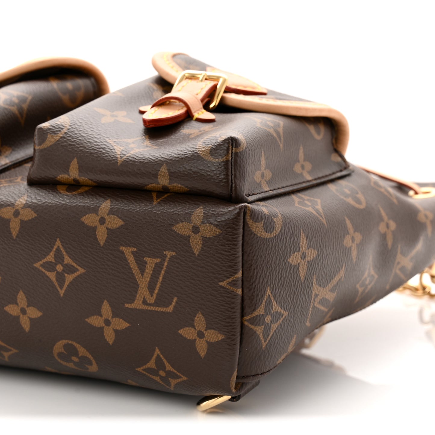 Monogram Excursion PM Backpack