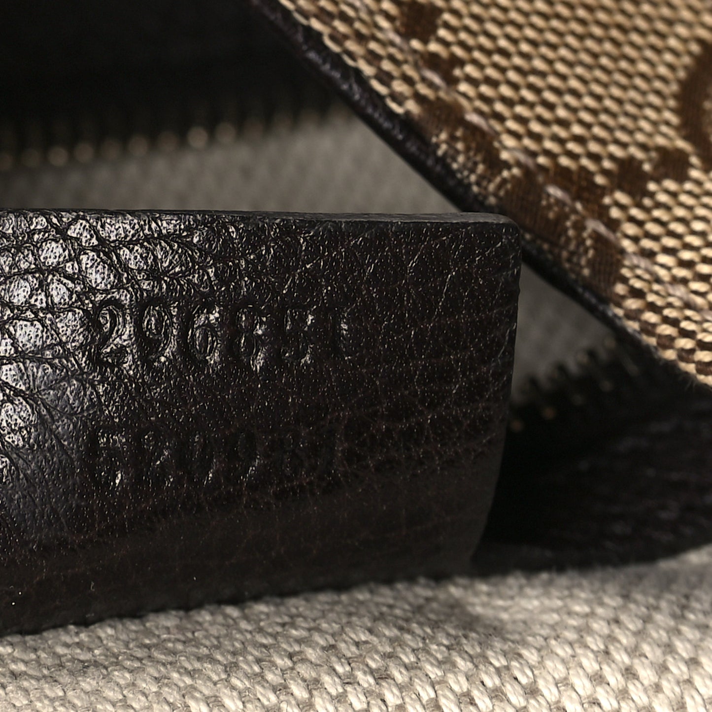 Monogram Web Medium Dressage Hobo Dark Brown
