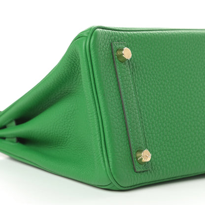 Hermes Togo Birkin 25 Bambou 9 of 12