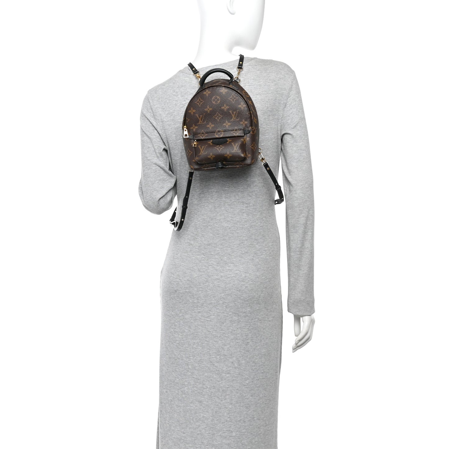 Monogram Palm Springs Backpack Mini