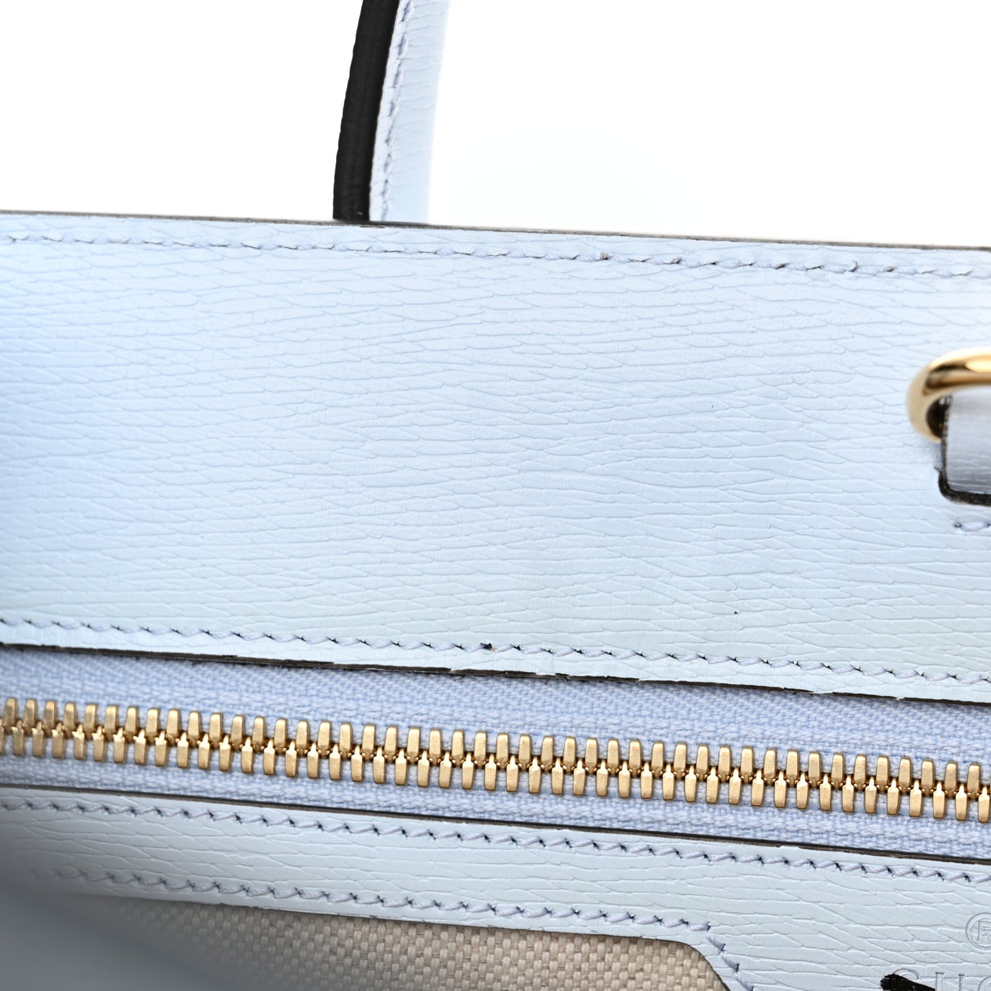 New Shangai Calfskin Tiger Savanah Textured Calfskin Medium Tote Light Blue Multicolor