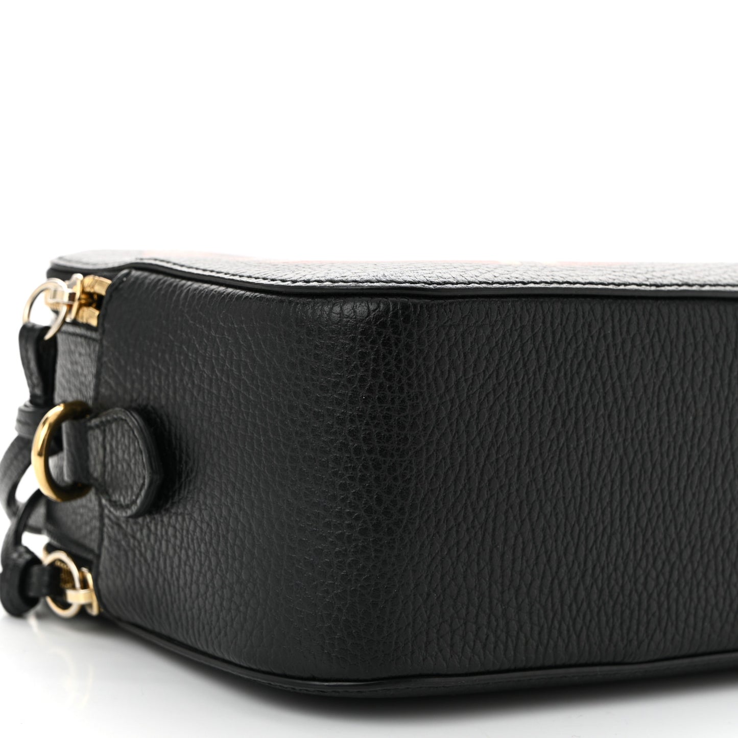 Grained Calfskin Sylvie Web Kingsnake Small Camera Bag Black Multicolor