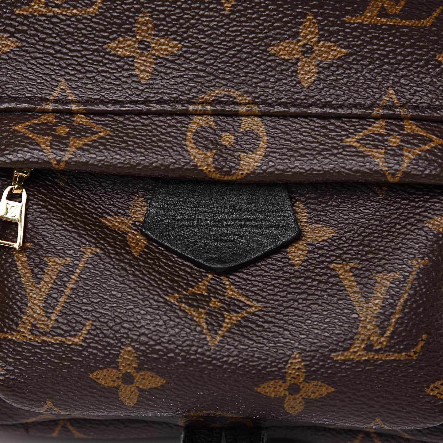 Monogram Palm Springs Backpack Mini