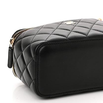 Chanel Lambskin Quilted Small Vanity Case With Chain Black 9 of 10