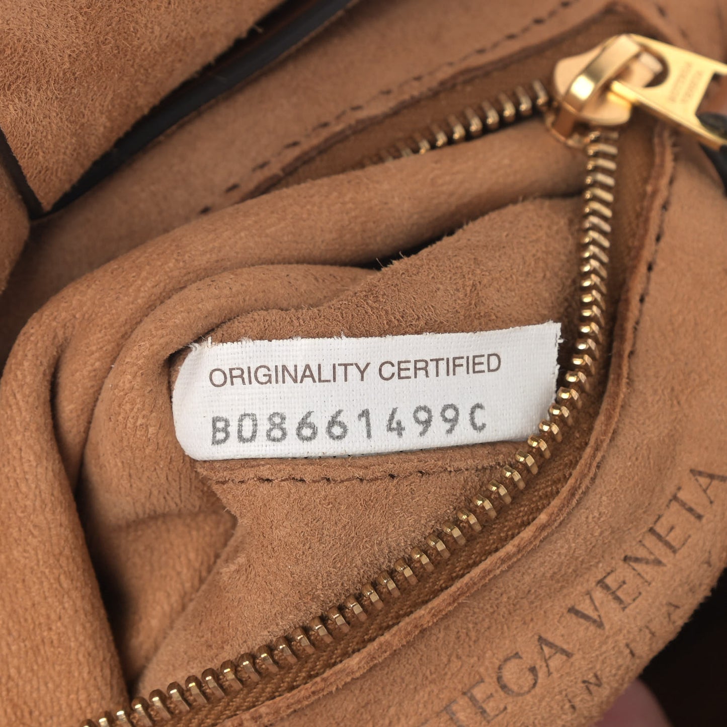 French Calfskin Maxi Intrecciato Mini Arco Wood