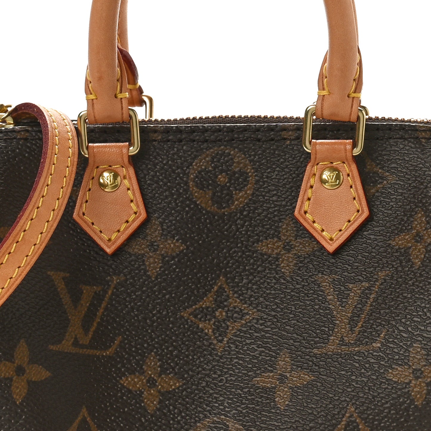 Monogram Nano Speedy