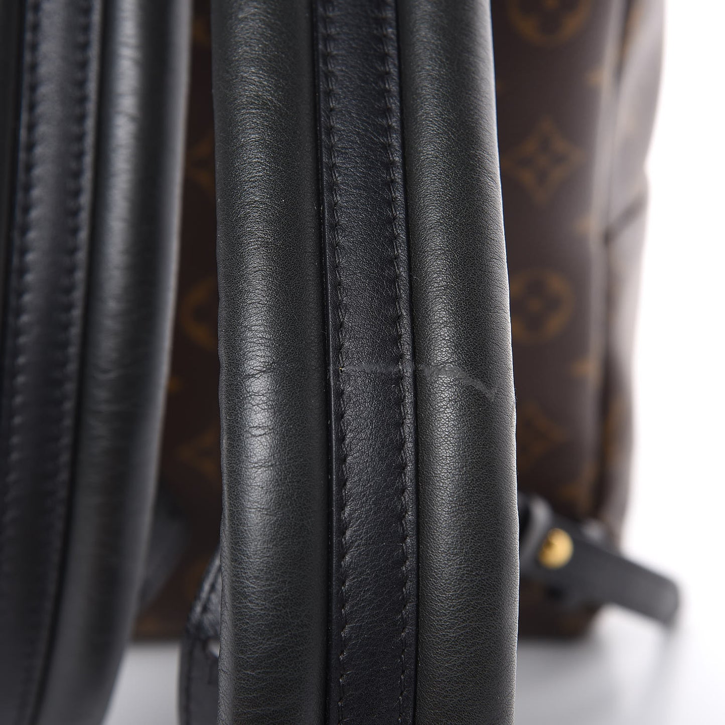 Monogram Palm Springs Backpack PM