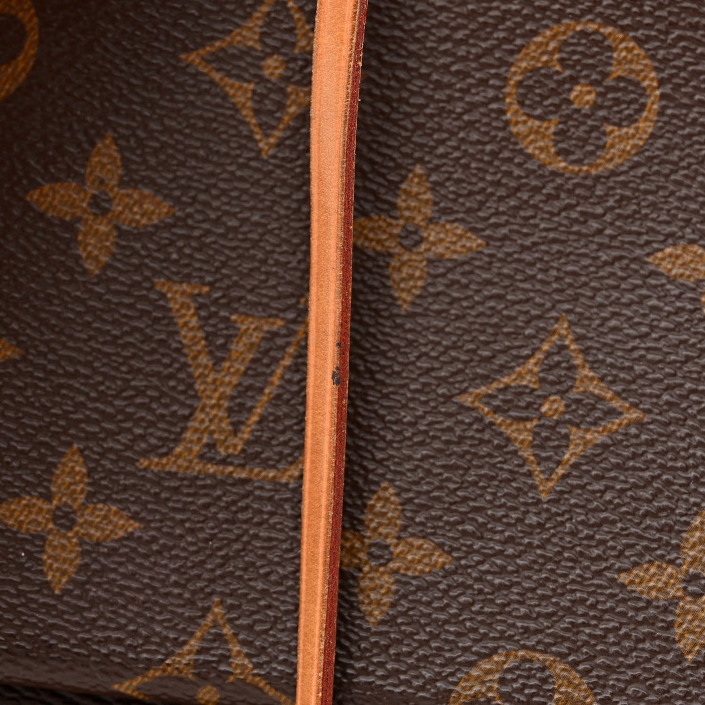 Monogram Cluny MM Blue Glacial