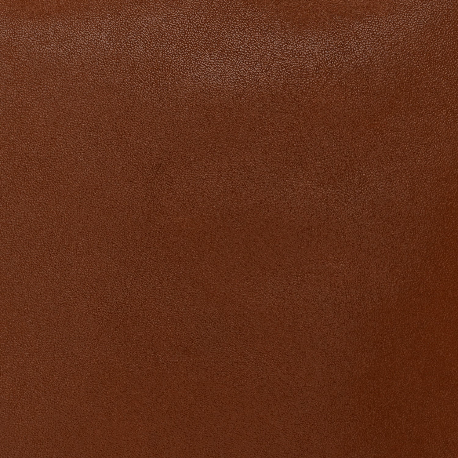Celine Shiny Lambskin Soft Triomphe Besace Bag Soft Tan 7 of 9