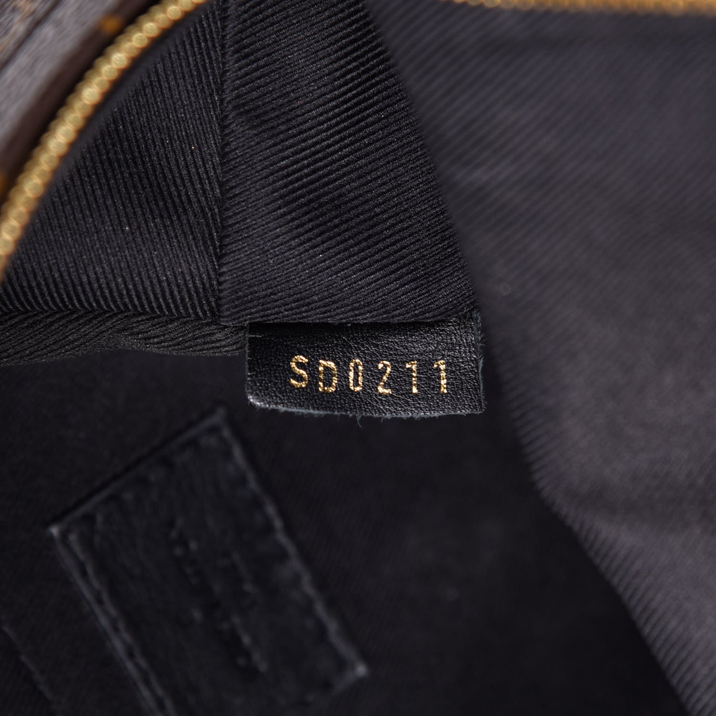 Monogram Palm Springs Backpack Mini