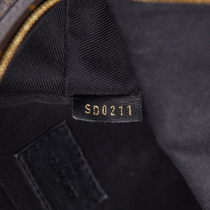 Louis Vuitton Monogram Palm Springs Backpack Mini 7 of 11