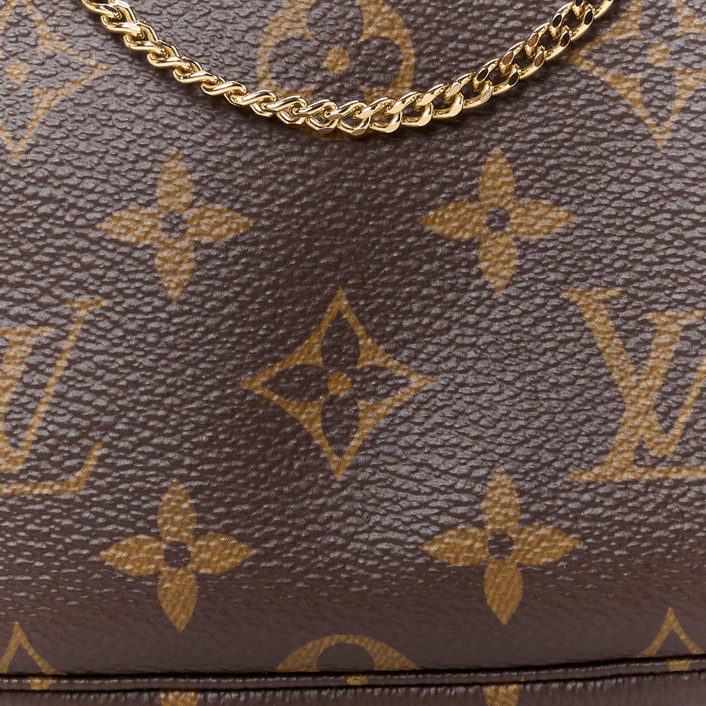 Monogram Mini Pochette Accessories