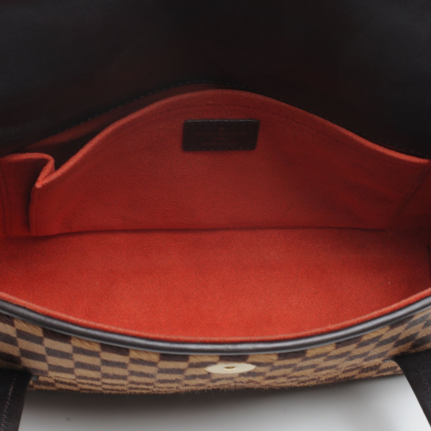 Louis Vuitton Damier Sauvage Lionne 5 of 10