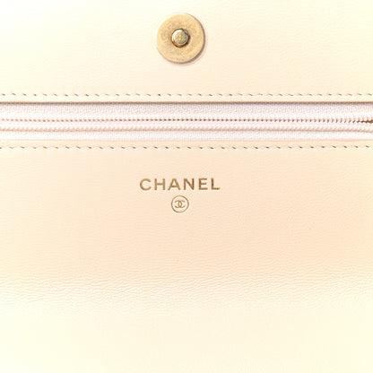 Chanel Goatskin Quilted Chanel 19 Wallet On Chain WOC Light Beige 6 of 10