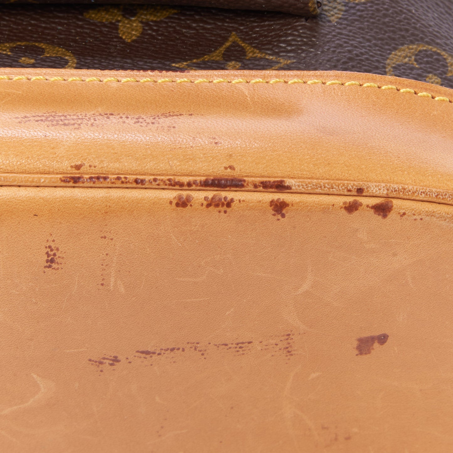 Monogram Montsouris GM Backpack