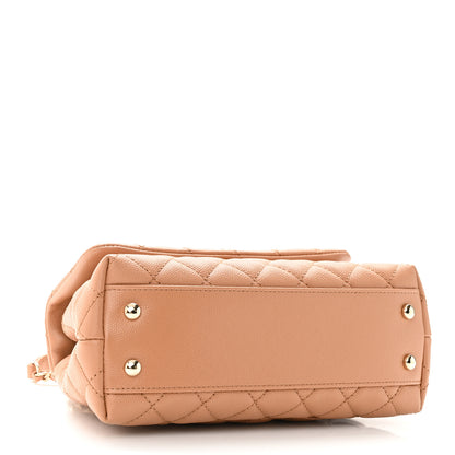 Chanel Caviar Quilted Lizard Embossed Mini Coco Handle Flap Brown 5 of 11