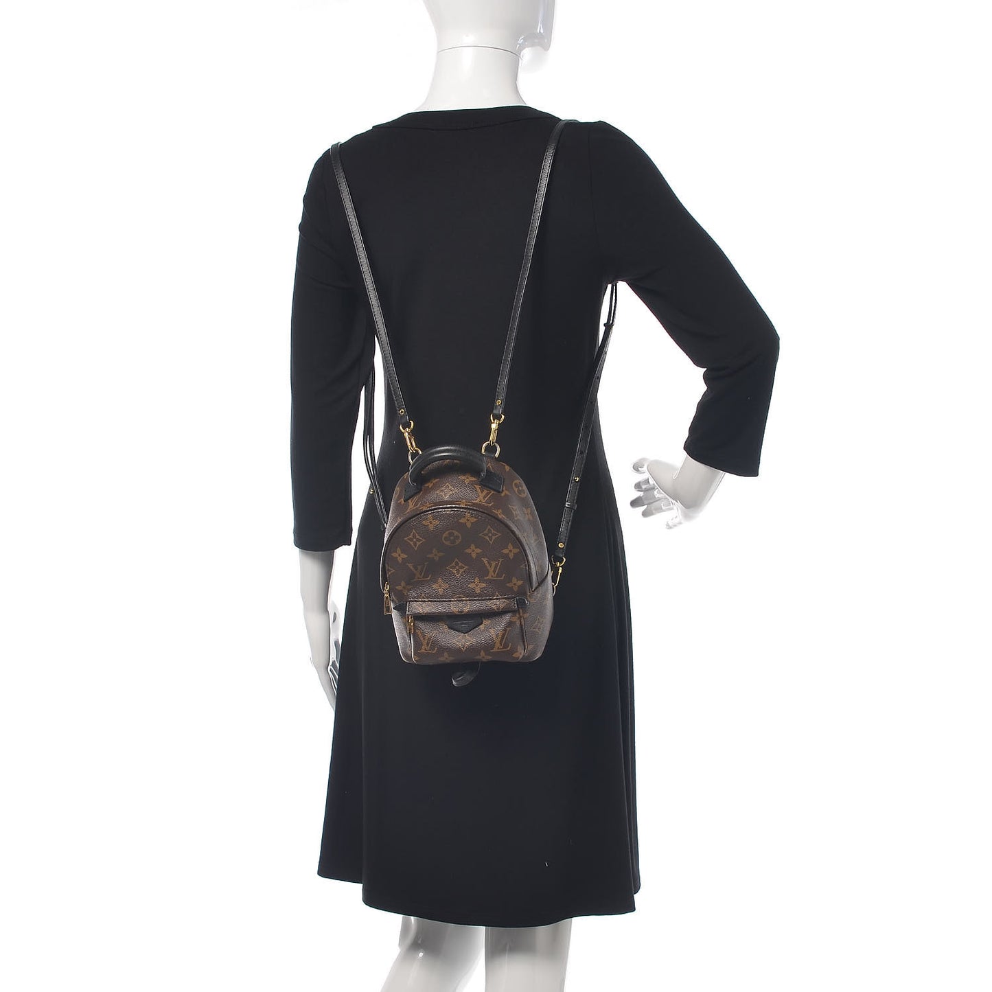 Monogram Palm Springs Backpack Mini