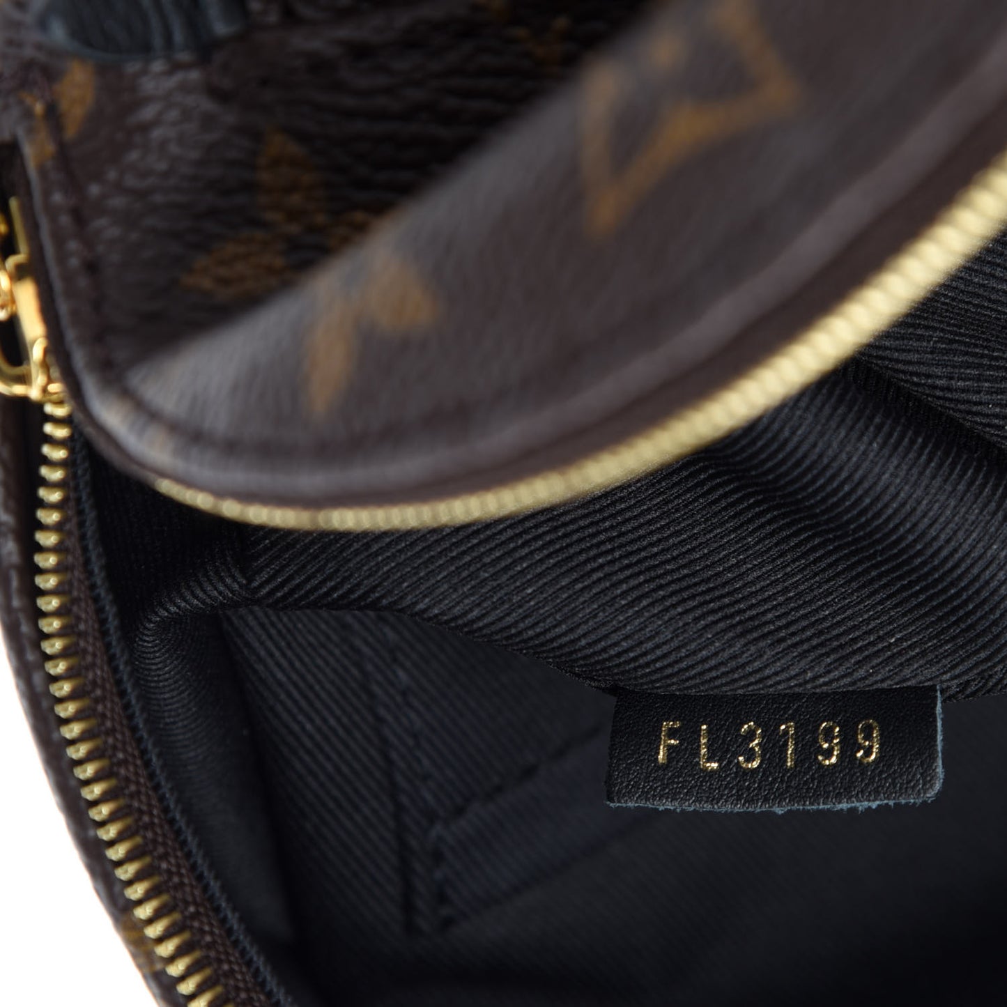 Monogram Palm Springs Backpack Mini