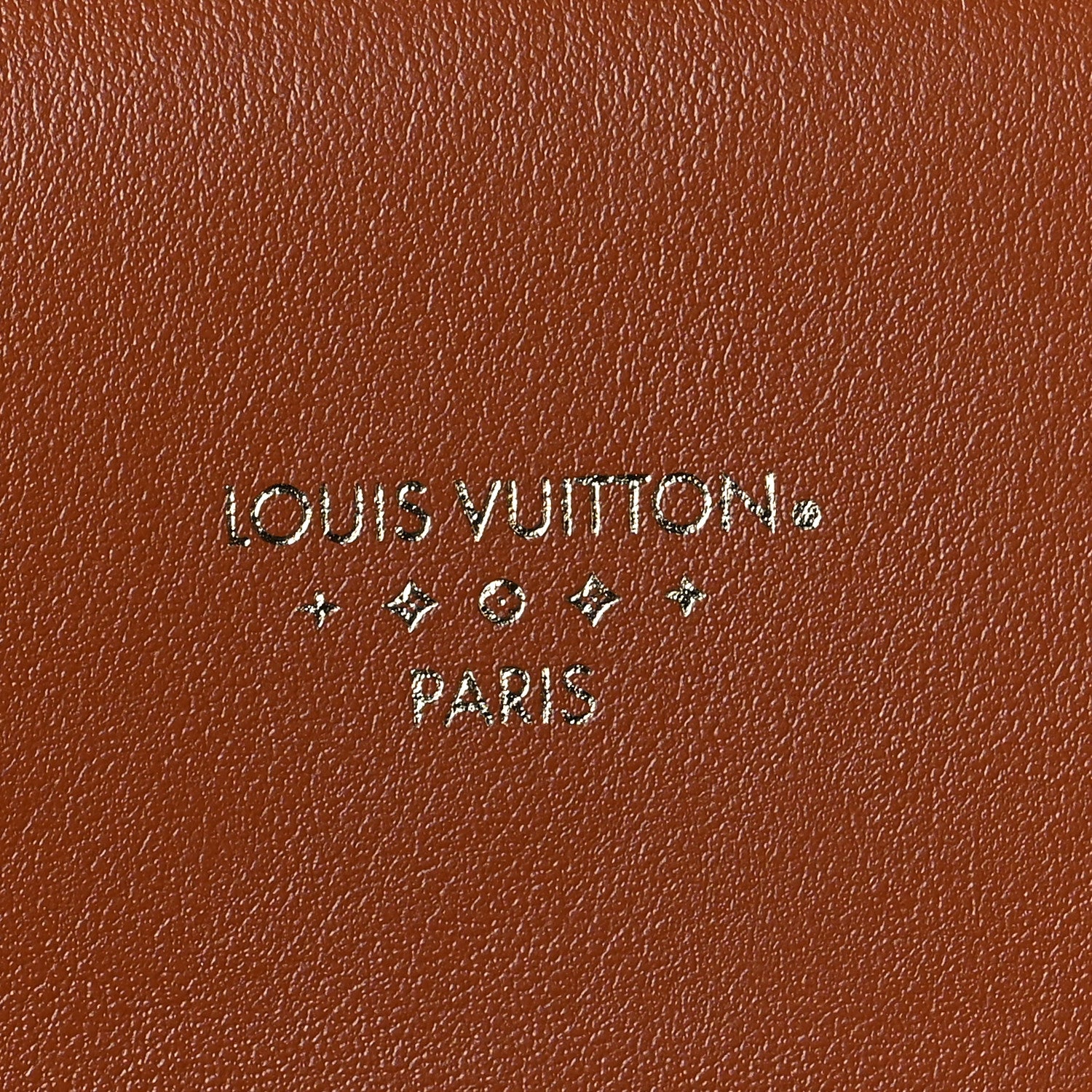 Louis Vuitton Smooth Calfskin LV Pont 9 Golden Siena 6 of 7
