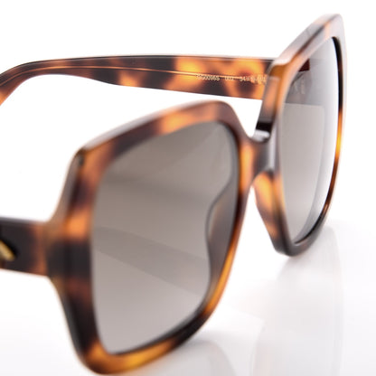Gucci Acetate Square GG 0096/S Havana 5 of 7