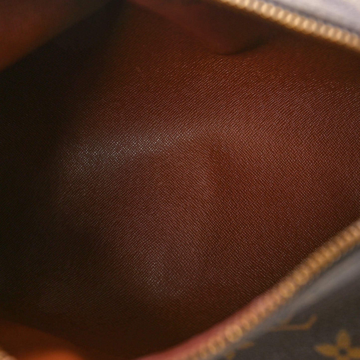 Monogram Papillon 26