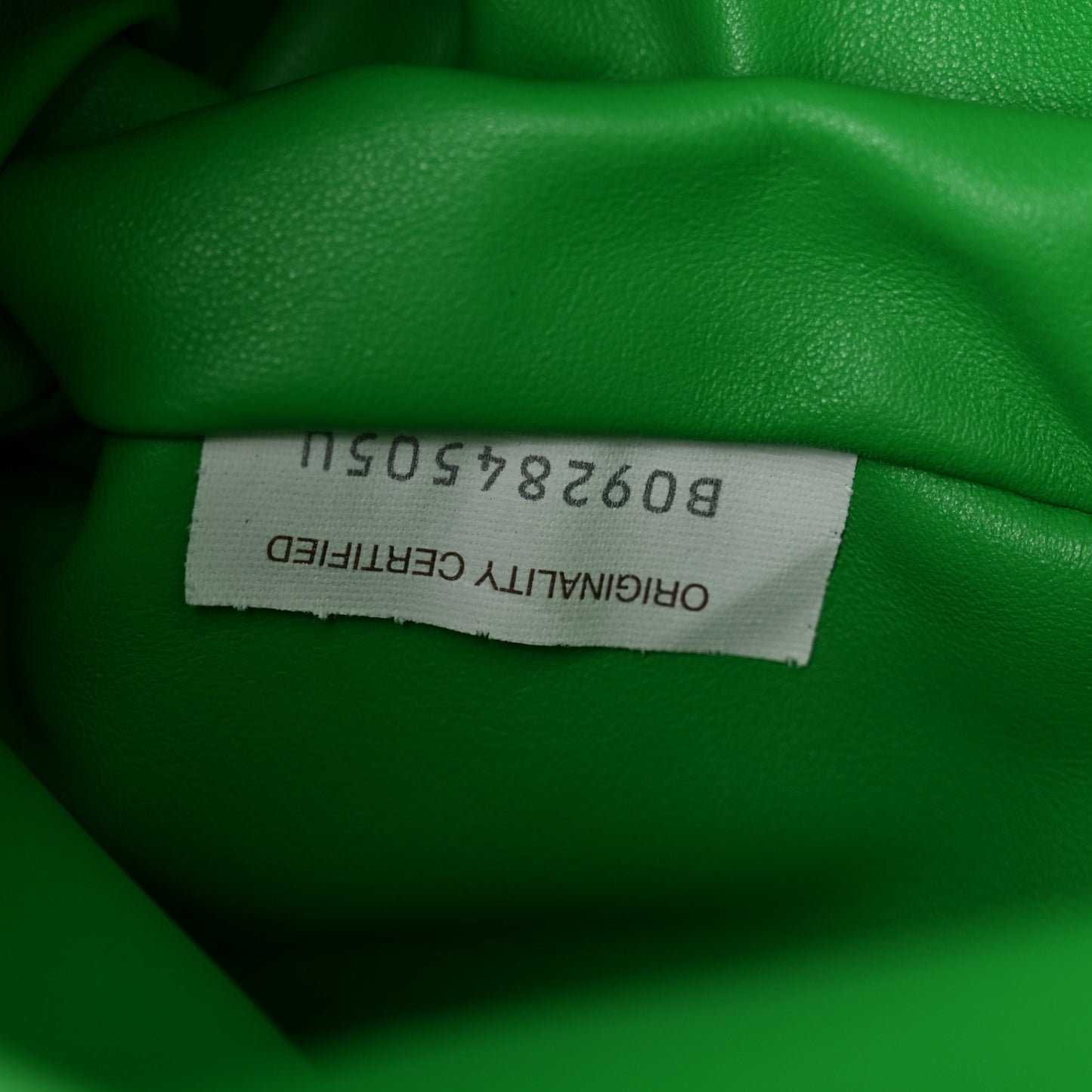 Calfskin Mini BV Twist Parakeet