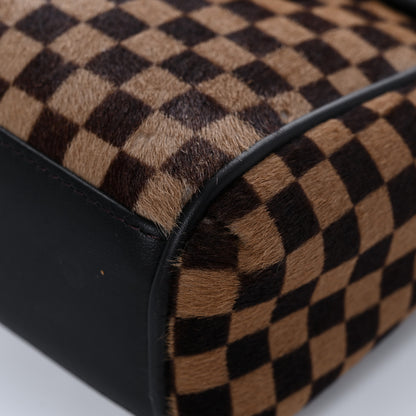 Louis Vuitton Damier Calf Hair Sauvage Lionne 14 of 18